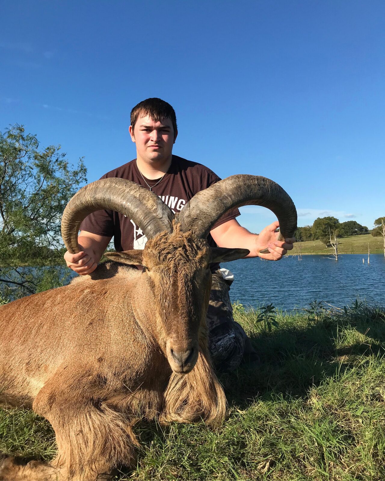 Aoudad Sheep Hunting in Texas