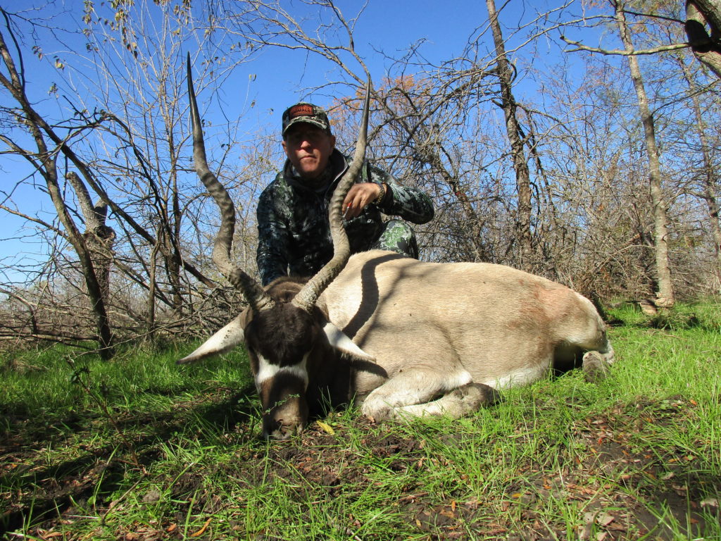 Addax Hunts in Texas