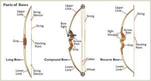 Choose the correct bow for your hunting - Cotton Mesa Whitetails, Texas