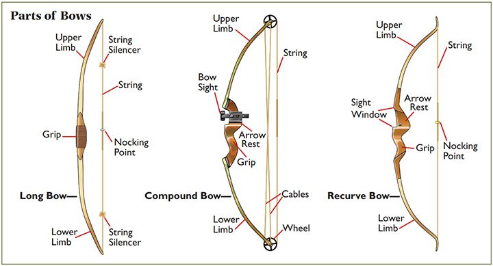Parts and types of bow
