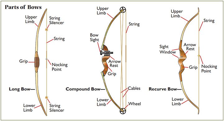 Choose The Correct Bow For Your Hunting Cotton Mesa Whitetails Texas